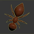 Red Ant 3D Model With Detailed Texture On Gray Background And Reflection