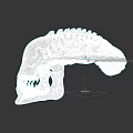 Detailed Animal Skull Sculpture With Anatomical Bone Structure And Texture