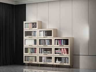 Modern bookcase combination 3d model