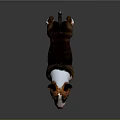 Brown And White Bull Terrier With Erect Ears Standing On Shiny Dark Floor