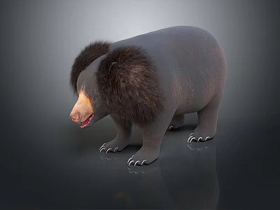 Fluffy Cartoon Bear With Dark Fur Light Nose And Open Mouth On Dark Background 3d model