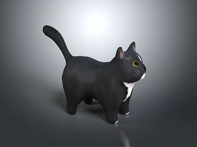 Black Cat With White Chest Paws And Yellow Eyes Standing On Gray Background 3d model