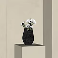 Unique Shape Black Vase With White Anemones On Light Colored Stand Against Beige Wall