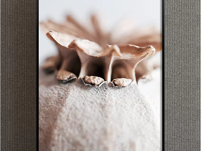 Modern Botanical Art Painting With Intricate Plant Details For Home Wall Decor 3d model