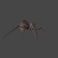 Game and Movie Spider Character 3D Model Design With Gray Background Details