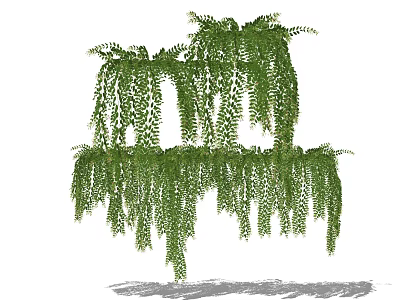 Lush Green Hanging Vines With Cascading Leaves And Natural Growth Pattern 3d model