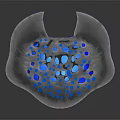 3D Cellular Structure Model With Blue Organelles And Gray Textured Surface