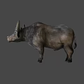 Gray Water Buffalo With Large Curved Horns Standing On Plain Background 3d model