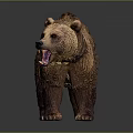 Realistic Brown Bear Model With Open Mouth And Thick Brown Fur Standing