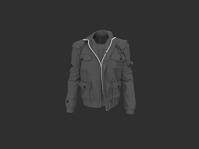 Gray Utility Jacket With Multiple Pockets Zipper Design And Stand Collar 3d model