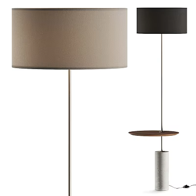 Modern Floor Lamp Designs With Beige Black Shades Metal Poles And Wooden Tray 3d model