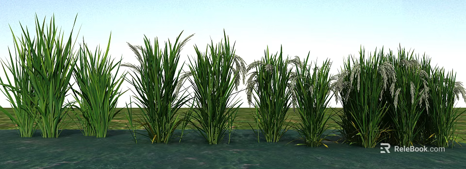 Green Tall Reed Plants Growing Along Water Edge With Blue Sky Background 3d model 