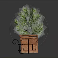 Green Plants in Rectangular Wooden Planter with Black Metal Decorative Borders on Dark Reflective Surface