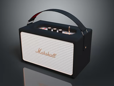 Marshall Stylish Portable Speaker With Black White Design And Handle Knobs 3d model