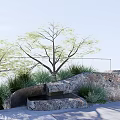 Natural Rockery Stones In Garden Landscape With Green Grass Tree And Water Basin