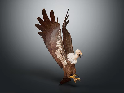 Majestic Eagle Displaying Spread Brown And White Feathers On Gray Background 3d model