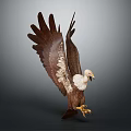 Majestic Eagle Displaying Spread Brown And White Feathers On Gray Background 3d model