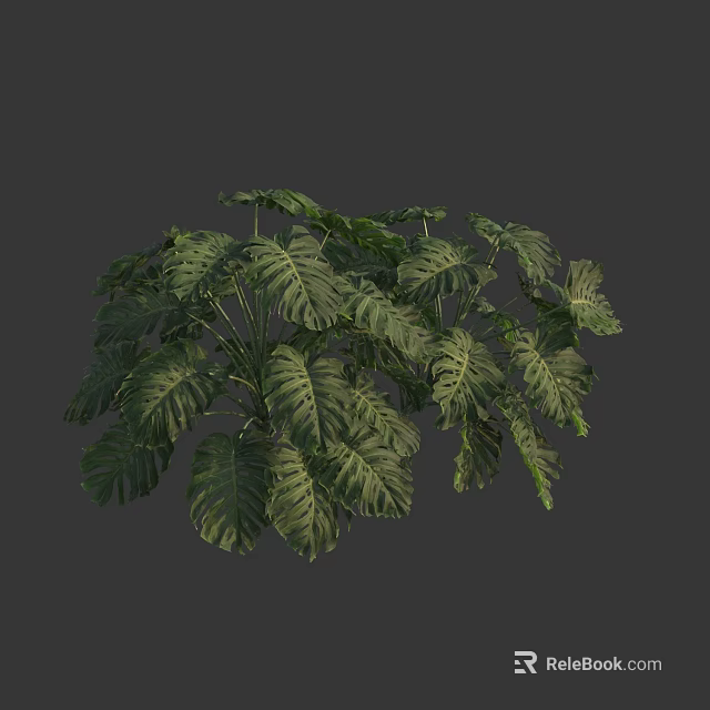 Lush Tropical Green Plant With Large Textured Leaves And Vibrant Foliage 3d model 