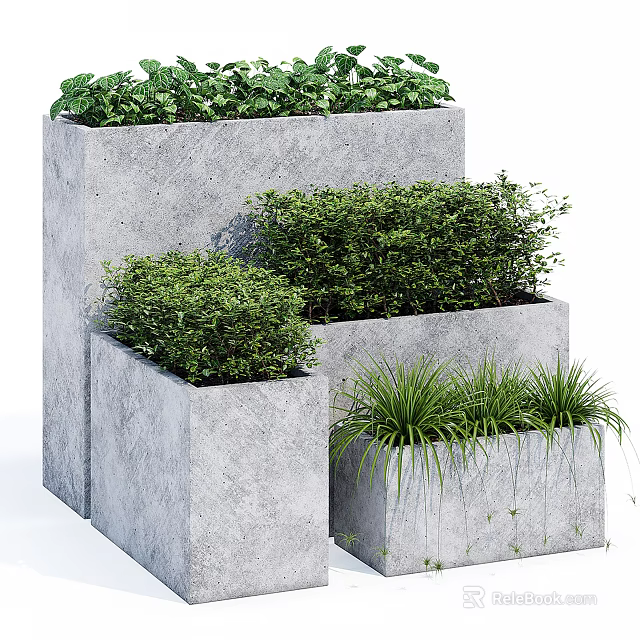Potted Plants in Gray Concrete Planters with Green Shrubs and Grasses 3d model 