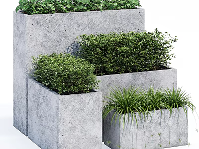 Potted Plants in Gray Concrete Planters with Green Shrubs and Grasses 3d model