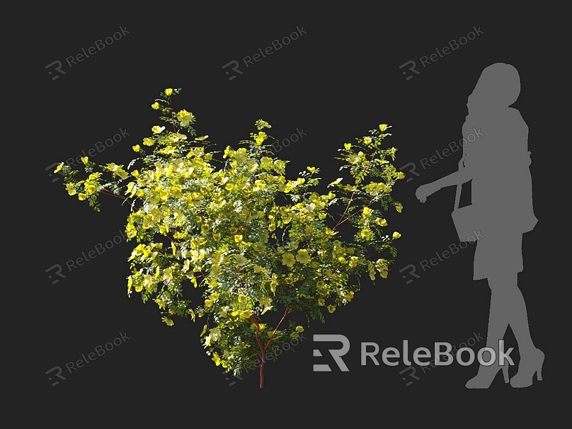 Rosa prickly rose flower shrub vine climbing vine climbing wall plant flower ivy wall creeper rose model