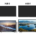 75 Inch and 80 Inch Televisions With Wall Mounted and Stand Placed Design And Scenic Display Screens