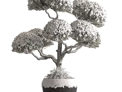 Bonsai Tree With Lush Foliage And Curved Trunk In Decorative Ceramic Pot 3d model
