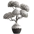 Bonsai Tree With Lush Foliage And Curved Trunk In Decorative Ceramic Pot