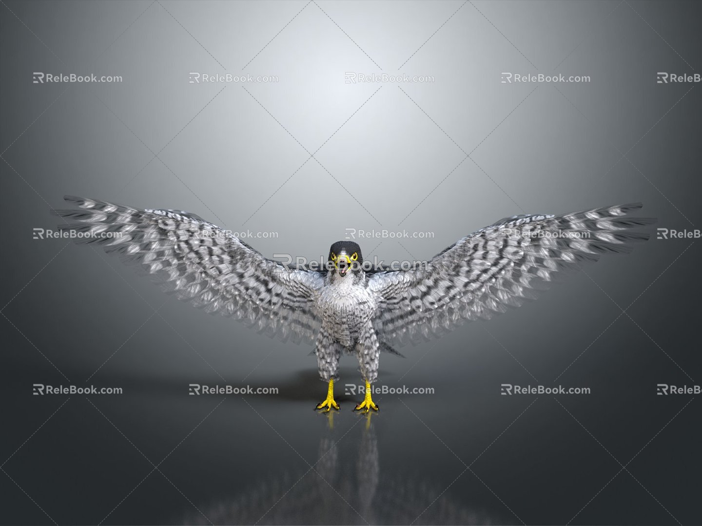 Modern Eagle Falcon Eagle 3d model