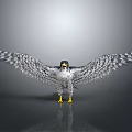 Spreading Wings Falcon With Black And White Spotted Feathers Yellow Talons Grey Background Reflective Ground