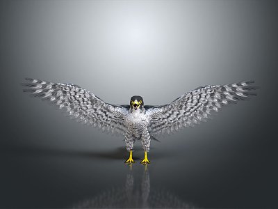 Modern Eagle Falcon Eagle 3d model