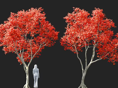 Two Arbor Trees With Vibrant Red Leaves And A White Figure 3d model