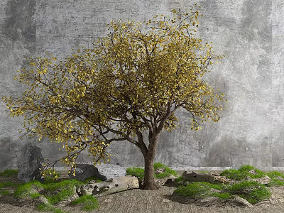Lush Arbor With Yellow Leaves Stones And Green Grass Against Gray Wall 3d model