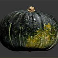 Single Blue Green Speckled Striped Pumpkin With Yellow Stem On Dark Background