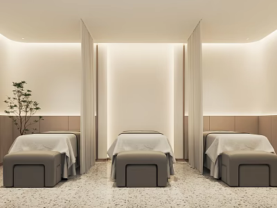 Serene SPA Sauna Interior With Three Massage Beds Neutral Walls And Potted Plant 3d model