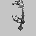 Detailed Dinosaur Skeleton Anatomical Display With Vertebrae Ribs And Limbs