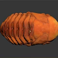 Orange Shiny Creature like 3D Model With Segmented Body Floating On Dark Background 3d model