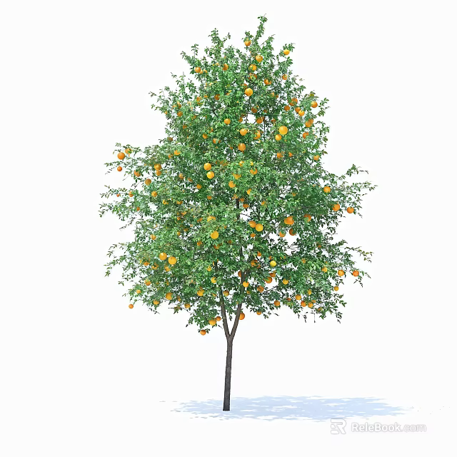 Lush Tree with Straight Trunk and Abundant Orange Fruits Among Green Branches and Leaves 3d model 