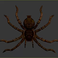 Brown Spider With Patterned Body And Long Legs On Gray Background