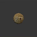 Pine Cone Containing Edible Pine Nuts Natural Healthy Organic Food Source