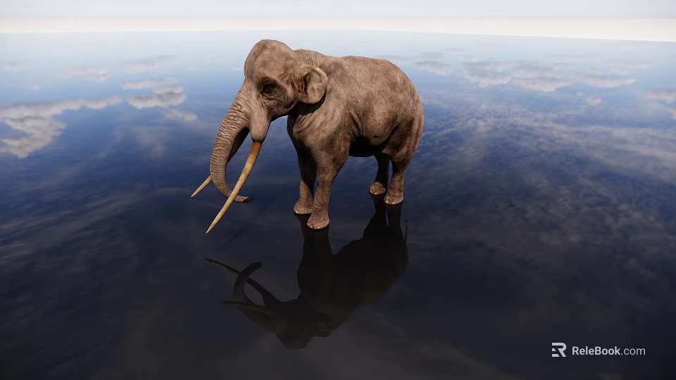 Large Crocodile Standing On Calm Water With Sky Reflection And Clouds Background 3d model 