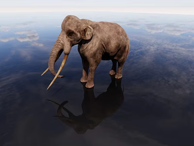 Large Crocodile Standing On Calm Water With Sky Reflection And Clouds Background 3d model