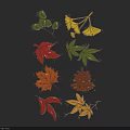Colorful Autumn Leaves And Pine Cones With Various Shapes And Colors