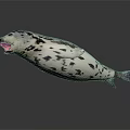Spotted Seal With Open Mouth Floating In Dark Background 3D Rendering