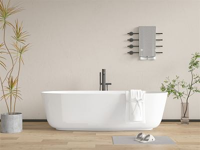 Modern Bathtub model