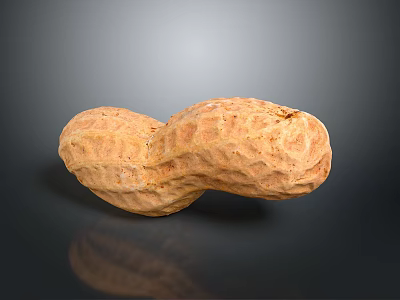 Healthy Natural Brown Shelled Raw Peanut With Textured Surface And Organic Shape 3d model