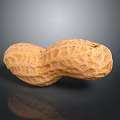 Healthy Natural Brown Shelled Raw Peanut With Textured Surface And Organic Shape