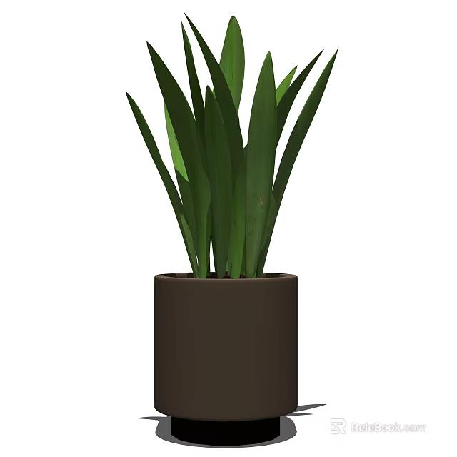 Potted Bonsai Plant With Green Long Leaves In Brown Cylindrical Pot 3d model 