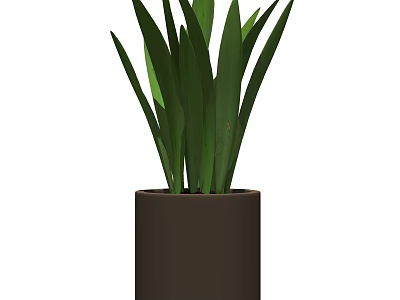 Potted Bonsai Plant With Green Long Leaves In Brown Cylindrical Pot 3d model