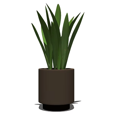 Potted Bonsai Plant With Green Long Leaves In Brown Cylindrical Pot 3d model